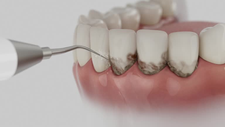 Reliable Dental contractor in Midland, WA by Dentist Open Now